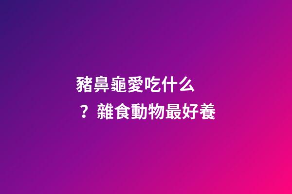 豬鼻龜愛吃什么？雜食動物最好養